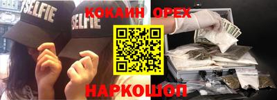 тгк Гай