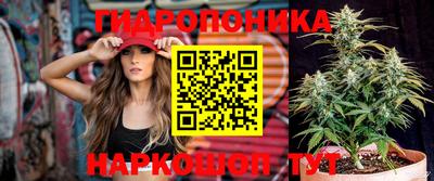 тгк Гай