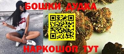тгк Гай