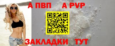 тгк Гай